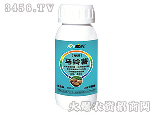 �R��팣��΢�������-���r(n��ng)����