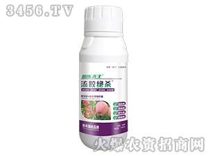 ���z�^��-����(l��)����-̩��(l��i)��(gu��)�H