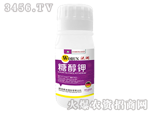 �Ǵ��-�֝�(r��n)-̩��(l��i)��(gu��)�H