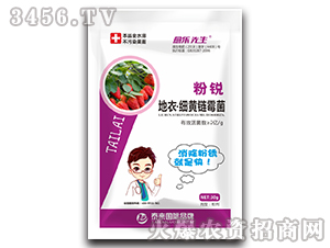 ���J���¡����S�ù��-��������-̩����H