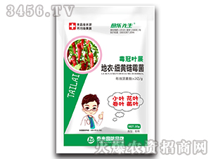 �����~չ���¡����S�ù��-��������-̩����H