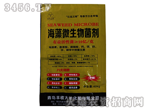 ����΢�������-�S�մ��