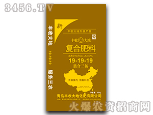 �������@��(f��)�Ϸ���19-19-19-�S�մ��