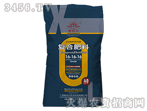 ���������(f��)�Ϸ���16-16-16-����