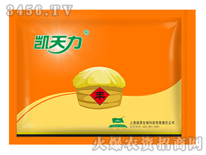 ����P����-�G�I(y��)Ԫ 