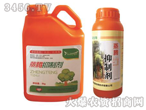 ���v���Ƅ�-�p������