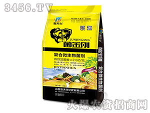 ��(f��)��΢�������-������-�x�컯