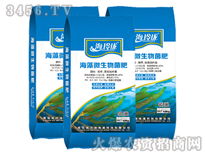 ����΢�������-���ᭇ