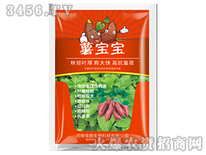 �팚��-�ÌW(xu��)��