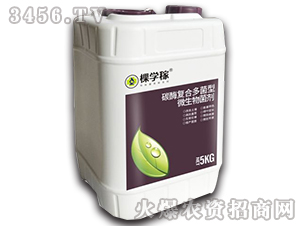 ̼ø��(f��)�϶����΢�������-�ÌW(xu��)��