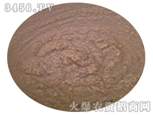 ���ɛ_ʩ��-�T��ӯ֦