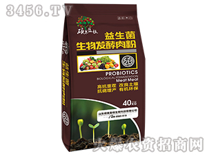 ����������l(f��)�����-�T��ӯ֦