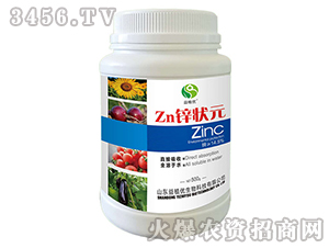 Zn�\��Ԫ-��ֲ��(y��u)