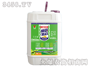 �_��360�����ǌ��ã�-�h��