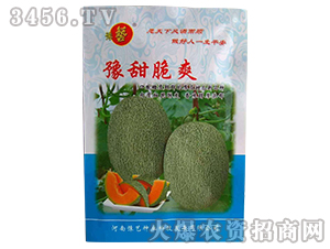 ԥ���ˬ-��Ƥ���-ԥˇ