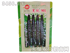 �ڃ�(y��u)901-�S�ϷN��-ԥˇ