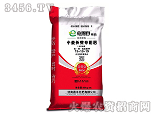 С���L(zh��ng)Ч���÷�19-19-19-����Ȫ-�κ�