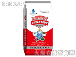 ̼øȫ��΢����������t��-������˹