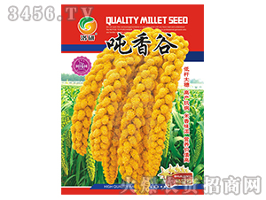 ���ӷN��-�����-����