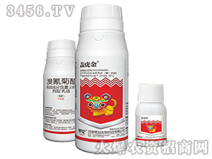 �������-�w����-��Ҋ(ji��n)����