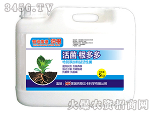 ����������-�ǵ�ʩ��횸�-��˹�m��