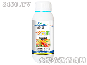 12Ԫ������Һ-���~��