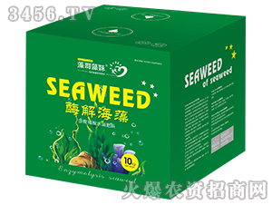 ø�⺣��-�������-�Ơ���˹