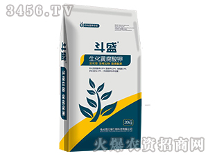 �����S�����-��ʢ-�����S