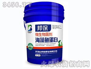 ΢�������-�����~����-�����