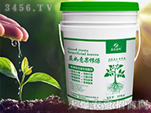 ̼ø��(f��)��΢�������-�����������-��������