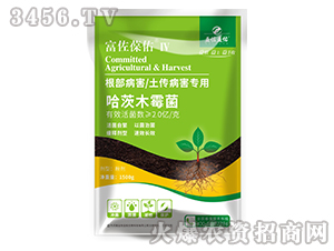 ����ľù��-��������IV-��������