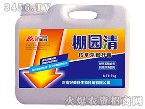 ���ʯ��τ�����@��-��@��-������