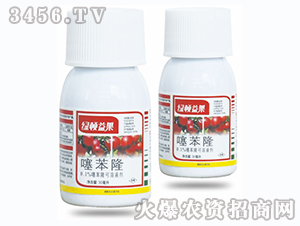 �籽¡-�G�D������O�����ã�-�G�D����