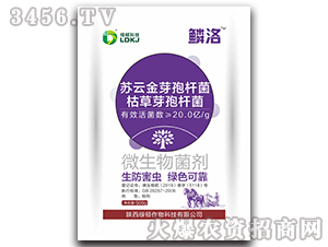 ΢�������-�[��-�G�D����