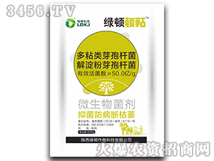 ΢�������-�G�D�D��-�G�D����