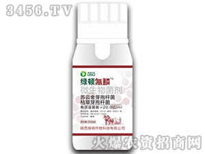 ΢�������-�G�D�o�[-�G�D����