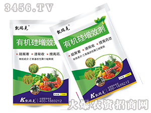 �ЙC(j��)����Ч��-�P���