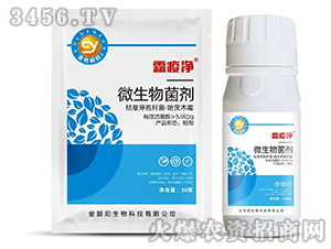 ΢�������-˪�߃�-��ɫ���