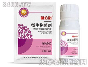 ΢�������-������-��ɫ���