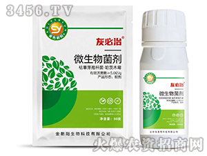 ΢�������-�ұ���-��ɫ���