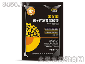 ��+�VԴ�S�����-��VԴ-��ɫ���