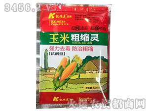 ���״ֿs�`-�P���