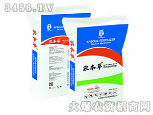 �@ˇ��(j��)�طN����-�r(n��ng)����-혞��r(n��ng)�I(y��)