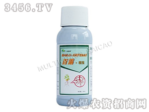 ��¶������-���ְٲ�