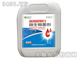 ΢�������-��~����-��(r��n)ֲ