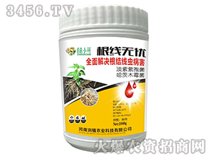 �����o(w��)�n-��(r��n)ֲ