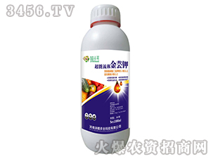 �������w���|�-��(r��n)ֲ