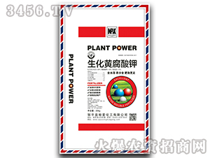 �����S�����-ԣ�ǻ���