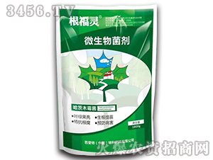 ΢�������-�����`-�����