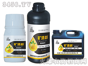 �VԴ�S�����}-�VԴ��-��������